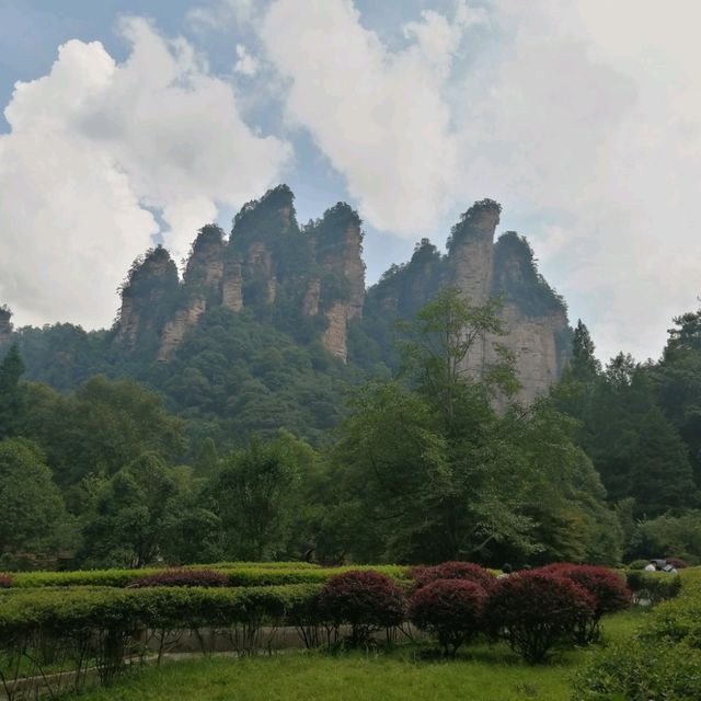 Breathtaking Zhangjiajie 🐒🌿