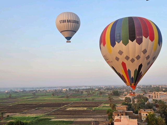 Hot Air Balloon in Luxor