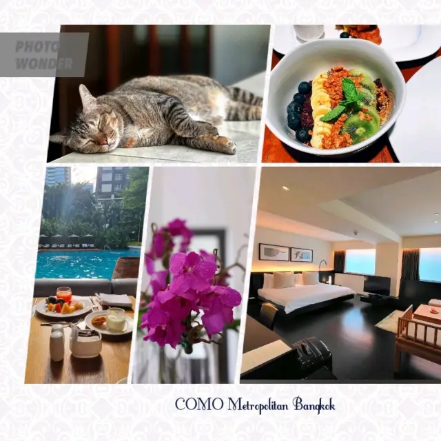 酒店有隻吉祥🐱位置安靜🌸有瑜伽課🧘‍♂️