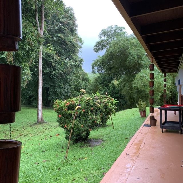 Fantastic one night stay in the rainforest 