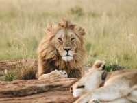 5 Days Safari - Tarangire National Park