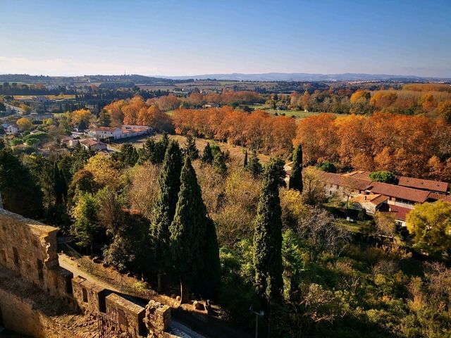 Carcassonne: Medieval Allure, Culinary Bliss