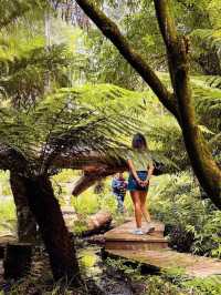 Forest Glade Gardens