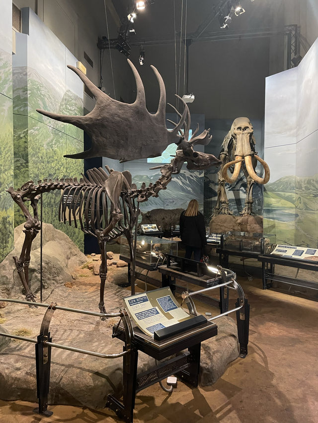 Have a roar-some time, dinosaurs at the museum of Wales