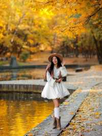 가을의 네스쿠치니 공원 발견 🍂