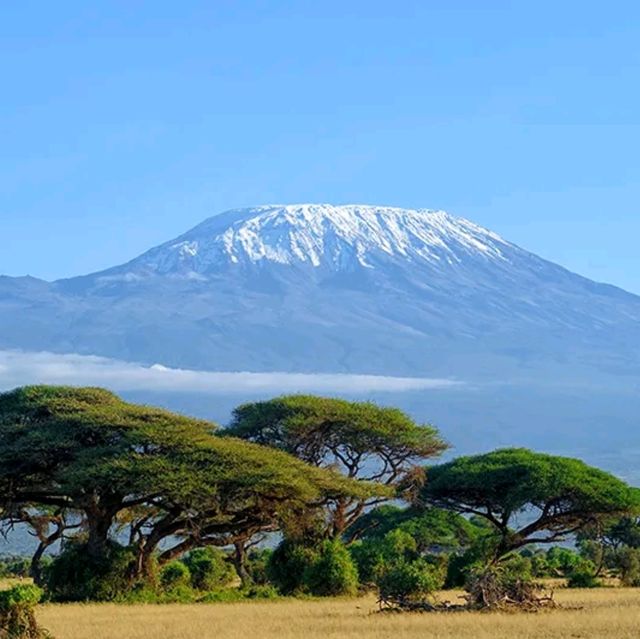 Hiking the hieghest Africa's highest peak, Mount Kilimanjaro!