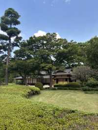 Tokyo Imperial Palace East Gardens: A Timeless Oasis in the Heart of Modernity