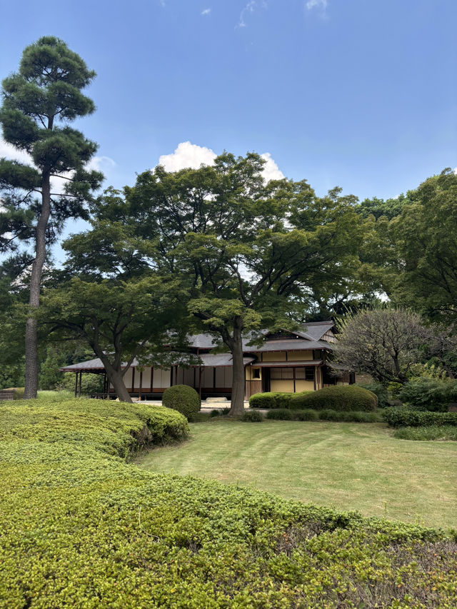 Tokyo Imperial Palace East Gardens: A Timeless Oasis in the Heart of Modernity