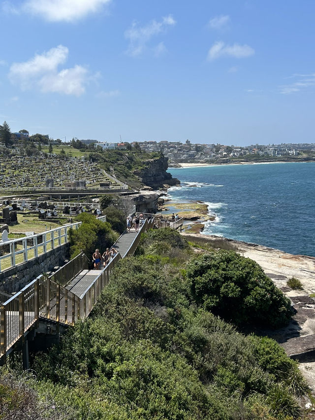 🌊 Coastal Bliss: Hiking from Coogee to Bondi Beach 🥾🏝️