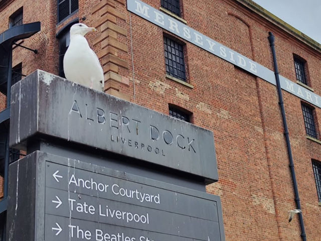 🚢 Explore the Royal Albert Dock – A Historic Waterfront Gem in Liverpool