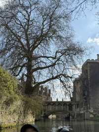 Cambridge 