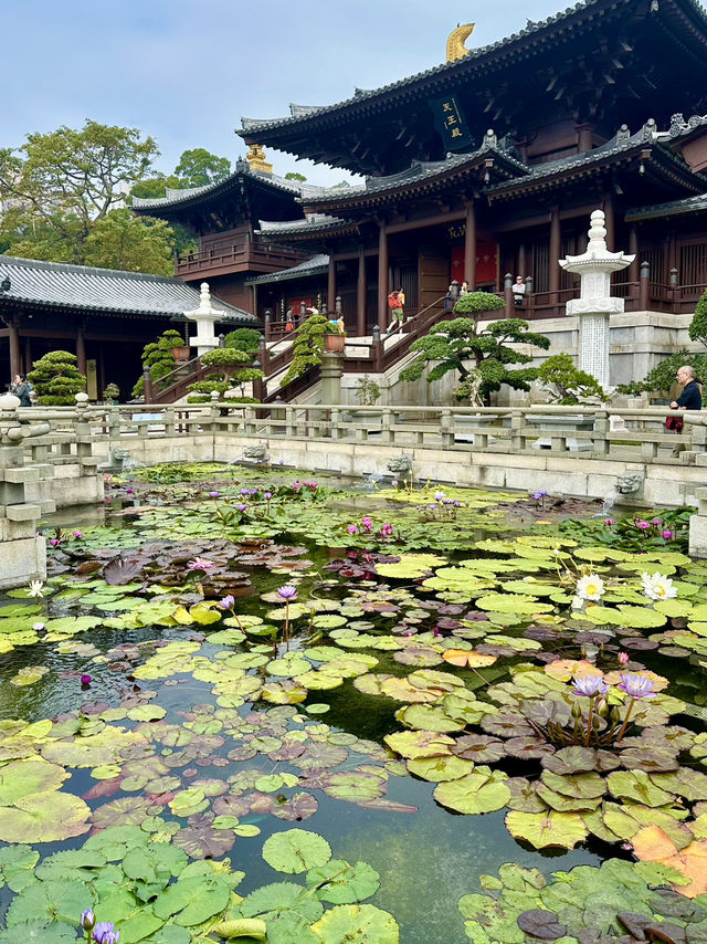 Must visit spots in Hong Kong!🇭🇰 