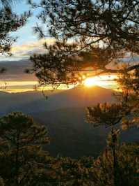🌄 Top 5 Hikes from Baguio City You Can't Miss! 🥾🌲