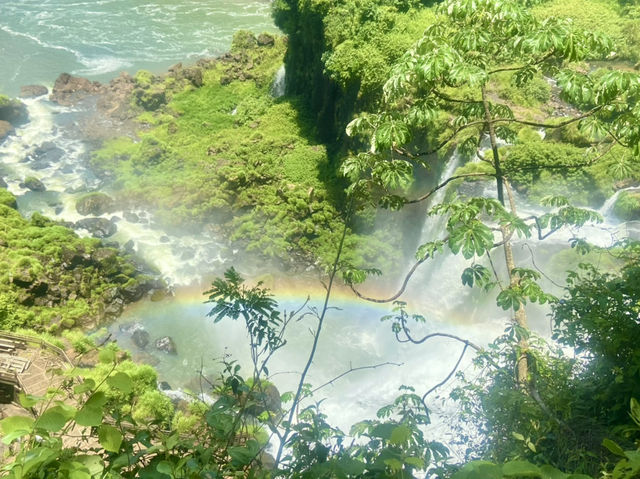 Quiet Trails & Jungle Sounds