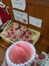 Where to Stay near Lake Kawaguchiko