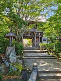 ⛩️ Miyajima Island Day Trip: Floating Torii Gate & Local Culture