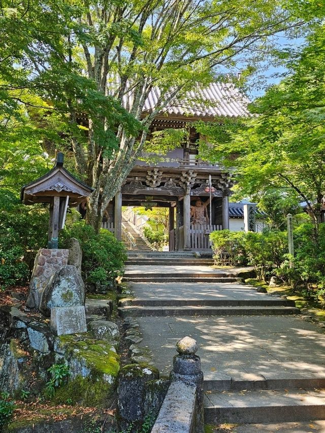 ⛩️ Miyajima Island Day Trip: Floating Torii Gate & Local Culture