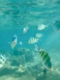 🌴 Sharm El Sheikh Vibes: One Week of Clear-Blue Relax & Walk-Everywhere Fun 