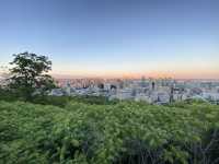 Royal Park, Montreal : an amazing park 