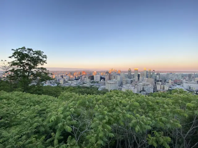 Royal Park, Montreal : an amazing park 