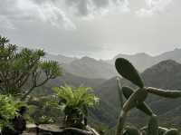 🌿 Parque Rural de Anaga: Tenerife’s Enchanted Forest 🌱✨