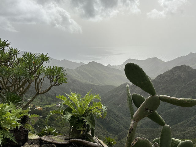 🌿 Parque Rural de Anaga: Tenerife’s Enchanted Forest 🌱✨