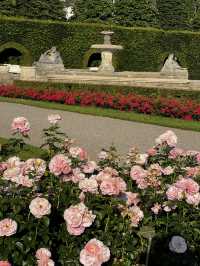 Summer serenity in Baden-Baden 🌹