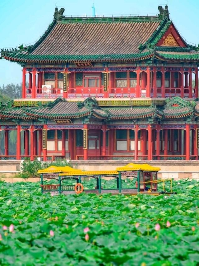🌿 Summer Palace – An Imperial Garden of Tranquility and Grandeur