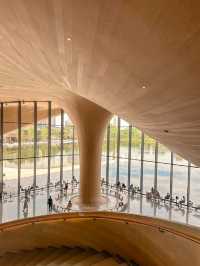 🖼️ Chengdu Art Museum – A Modern Canvas in the Heart of Sichuan