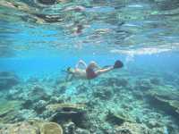 Scuba Diving in the Maldives: Why It’s the Perfect Destination and How to Plan Your Trip