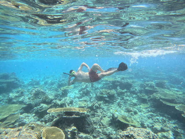 Scuba Diving in the Maldives: Why It’s the Perfect Destination and How to Plan Your Trip