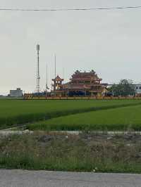 Sekinchan Paddy Gallery: Where Rice Meets Discovery