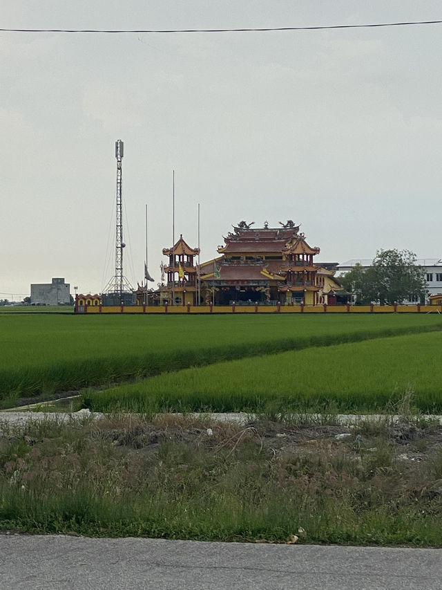 Sekinchan Paddy Gallery: Where Rice Meets Discovery