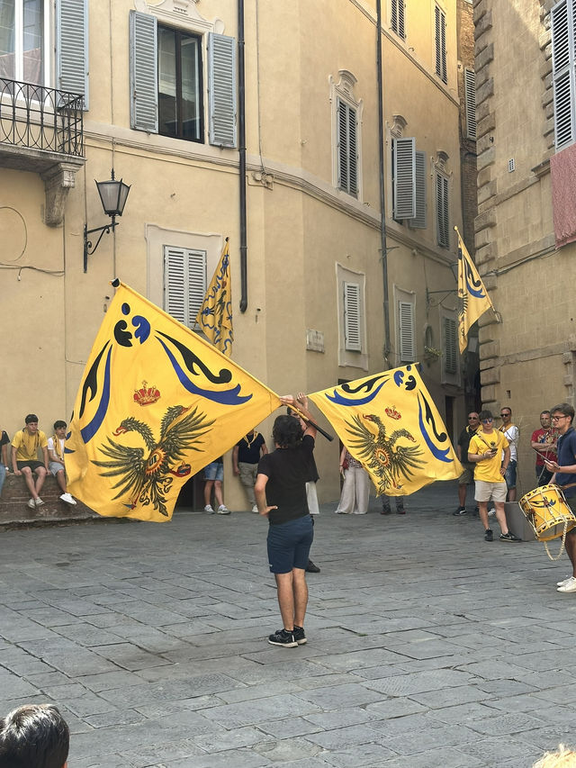 Experience the Heartbeat of Siena’s Palazzos and Teatro dei Rozzi