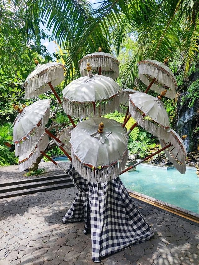 Bali on a Budget: Affordable Island Bliss
