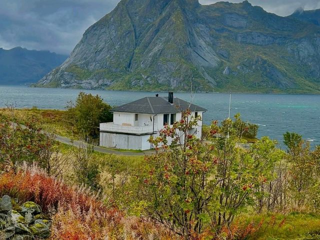 🇳🇴 Lofoten Islands Guide — Arctic Beauty of Norway
