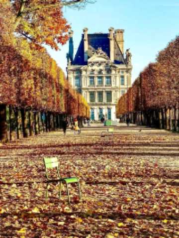 🌟💫 Top Things to See in Paris — The City of Light Awaits