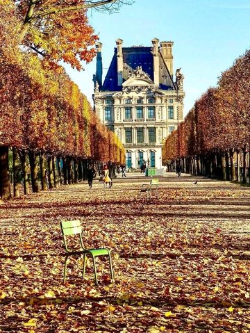 🌟💫 Top Things to See in Paris — The City of Light Awaits 🌟💫 Top Things to See in Paris — The City of Light Awaits
