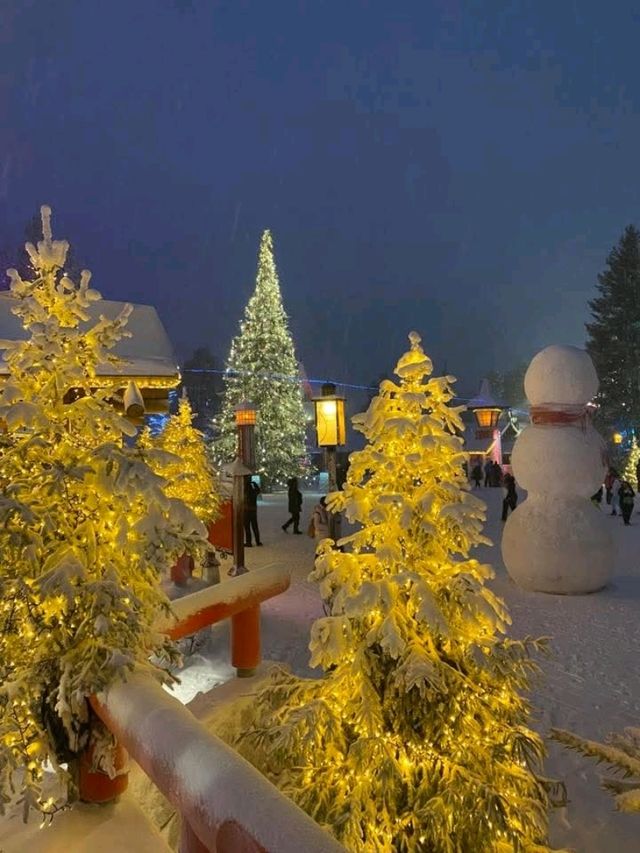 Lapland Winter Fun❄️