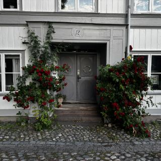 Gavle’s Charming Old Town: Fairy Tale Feels & Lime Tree Vibes 🌸✨