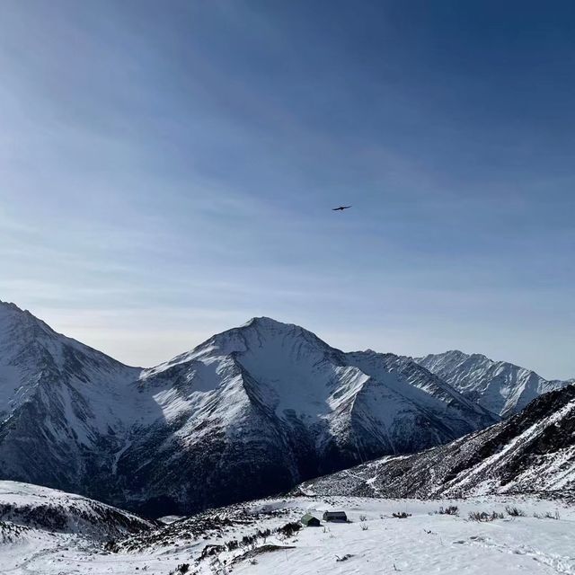 Hike the Himalayas 🏔 4 Hours from Chengdu