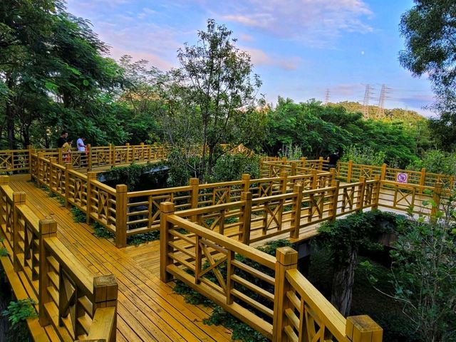 Hilltop Haven in Bao'an 🌳🌸🏞️