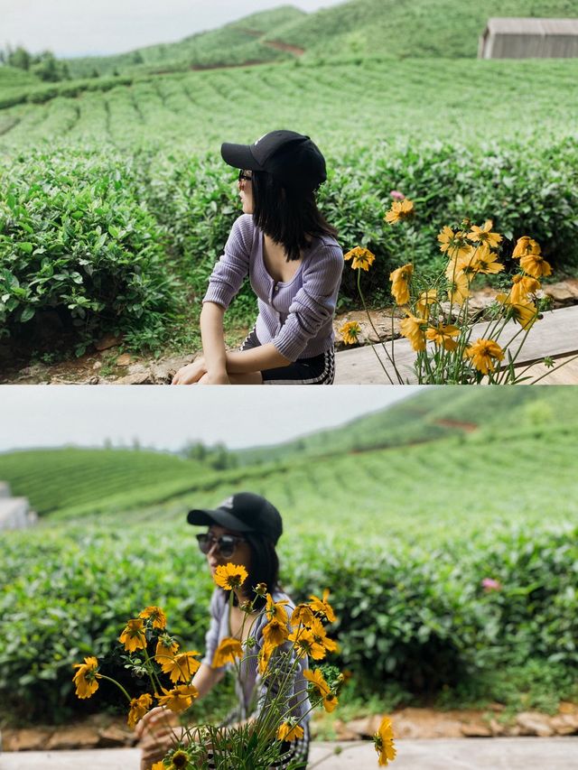 這裡就是現實版嚮往的生活💚貴州自駕遊 
