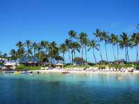 Hawaii! Here I come!