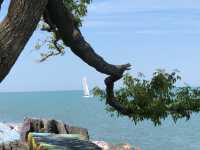 Northwestern University on the shores of Lake Michigan.