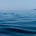 charlieocean
