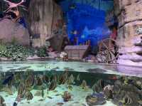 Awe-Inspiring Aquatic Wonderland 🇦🇪