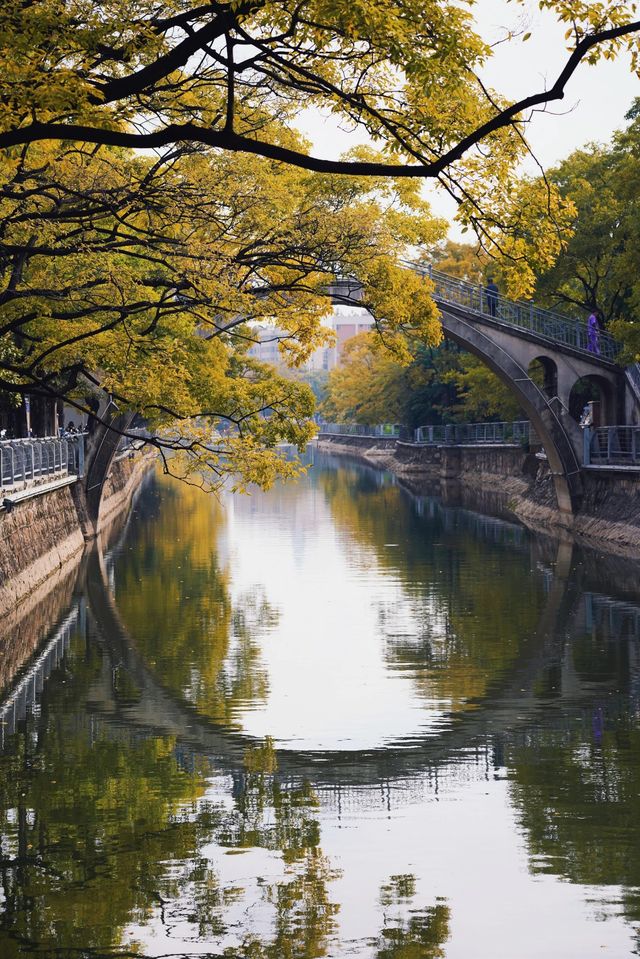 昆明周邊｜大觀河畔的秋景