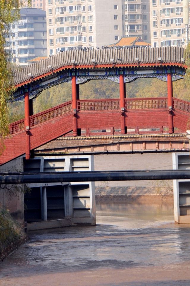 走近蘭州握橋