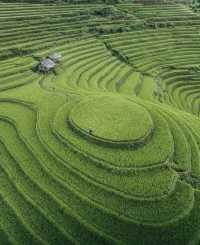 Lost in the mesmerizing terraced fields of Mù Cang Chai, where nature paints a breathtaking masterpiece!🌾🏞️